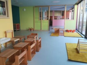 Conférence sur le Nido : que révèle-t-elle en Montessori ?